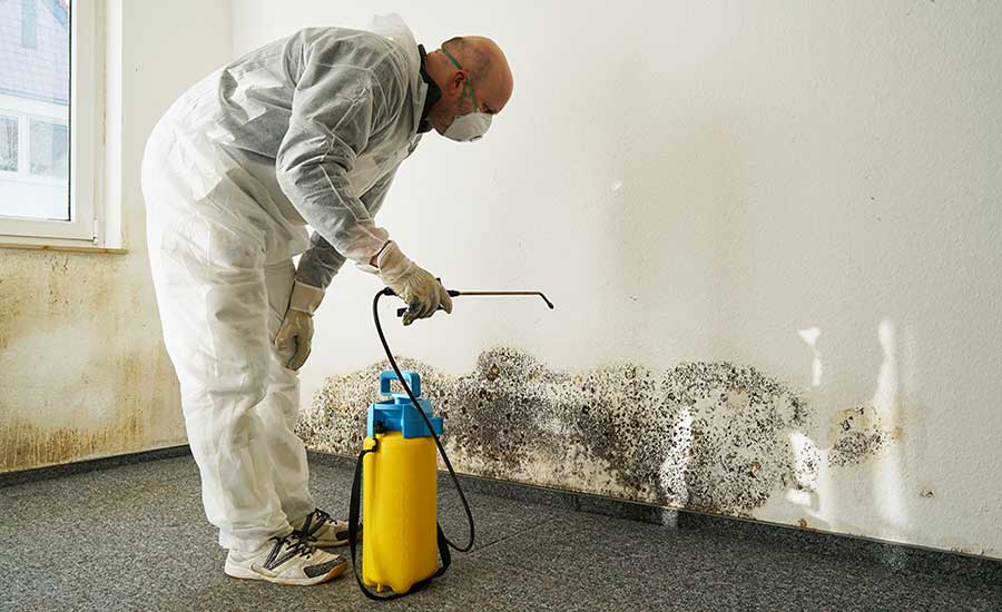 Mold Removal & Remediation